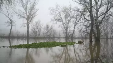 Meriç Nehri'nde Debi Düşüşü Devam Ediyor