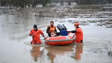 Edirne'de Taşkın Kurbanı Hayvanlar Kurtarıldı