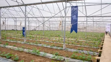 TİKA'dan Vietnam'a Sera Desteği