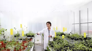 Uzayda Bitki Yetiştirme Çalışmaları