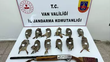 Erciş'te Kaçak Avcıya 81 Bin Ceza