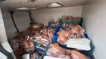 Tuşba'da 200 Kaçak Tavuk Ele Geçirildi