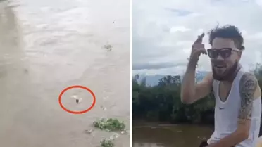 Viral olmak için köprüden atlayan fenomen feci şekilde can verdi