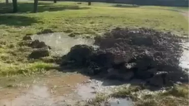 Yalova'da DEAŞ Operasyonları: 198 Gözaltı