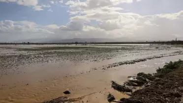 Turgutlu'da Irlamaz Çayı Taştı