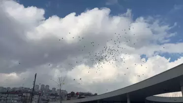 Uras Ege için renkli balonlar gökyüzüne bırakıldı