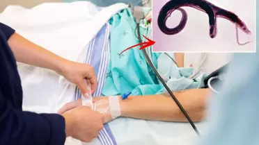 DSÖ'den küresel alarm! Cinsel organlara yerleşen parazit evrim geçirdi, yeni ülkelere yayılabilir