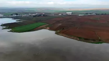 Kocadere Göleti'nde Su Seviyesi Yükseldi