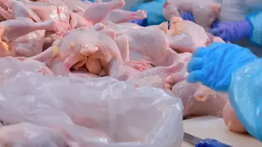 Ramazan öncesi kritik adım! Tavuk ihracatı resmen durduruldu