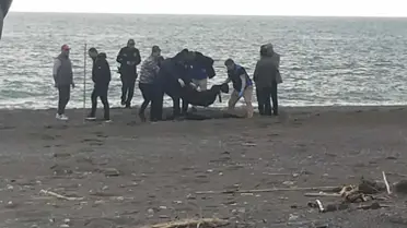 Sahilde kan donduran manzara! Yürürken fark edip telefona sarıldı