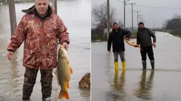 Tarlanın ortasından çıktı! Tartıda tam 7 kilo geldi
