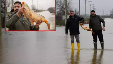 Meriç Nehri taştı, vatandaşlar tarla ve bahçelerde kilolarca balık yakaladı
