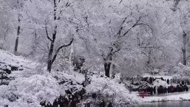 ABD'de aşırı soğuk dehşeti! Can kaybı sayısı arttı