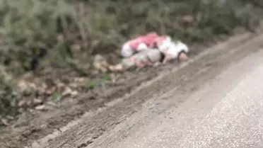 Düzce'de Göçmen Dramı: 1 Ölü, 28 Yakalandı