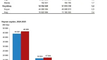 TÜİK 2025 Hayvansal Üretim Verilerini Açıkladı