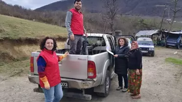 Kestane Üretimi Artacak