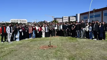 Gençlerden Çam Fidanı Dikimi