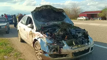 Kozan'da Koyun Sürüsüne Otomobil Çarptı