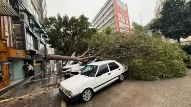 Adana'da Şiddetli Yağış ve Rüzgar