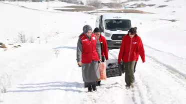 Yaban Hayvanları İçin Yemleme Faaliyeti