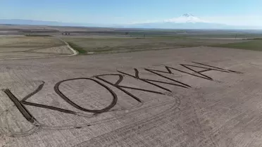 Çiftçiden Anlamlı Mesaj: Tarlasına 'Korkma' Yazdı