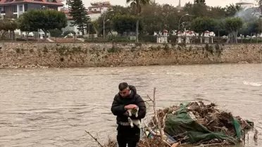 Alanya'da Sürüklenen Kedi Kurtarıldı