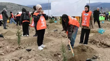 Amasya'da Orman Haftası Etkinliği
