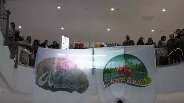 Çubuk Tanıtım Günleri Gerçekleşti