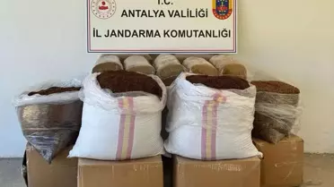 500 Kilogram Kaçak Tütün Ele Geçirildi