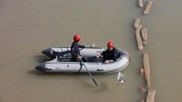 Antalya'da Misina Dolanan Martı Kurtarıldı