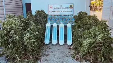 Aksu'da Uyuşturucu Operasyonu: 1 Gözaltı