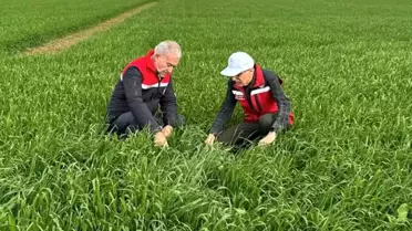 Araban'da Tahıl Alanları İnceleniyor