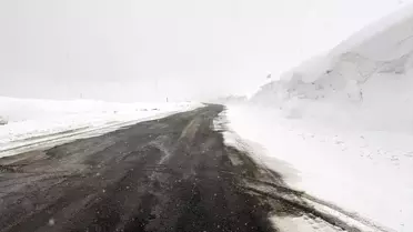 Ardahan ve Kars'ta Kar Ulaşımı Aksattı