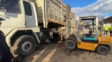 Aydın'da kamyon damperinin altında kalan tamirci ve şoför öldü