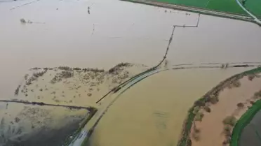 Aydın'da Sağanak: Yol ve Tarım Arazileri Su Altında