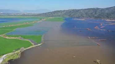 Söke'de Taşkın: Tarım Arazilerinde Balık Avı