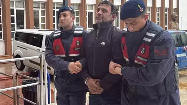 Zeytin ve İncir Ağaçları Tahrip Eden Şüpheli Gözaltında