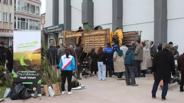 Bafra'da Fidan Dağıtımı Yapıldı