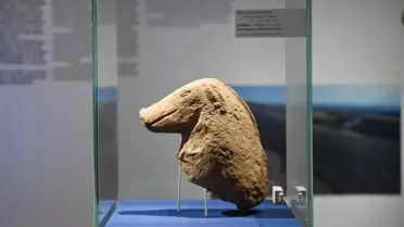 Göbeklitepe Sergisi Berlin'de Açıldı