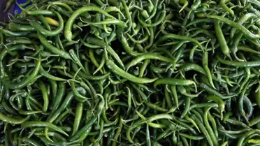 Biber İhracatında Ocak Şampiyonu