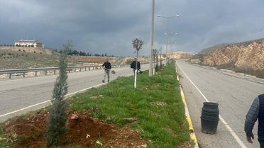 Batman'da Ağaçlandırma Seferberliği