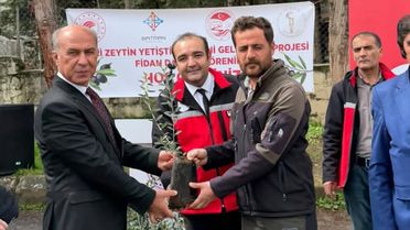Batman'da 250 Üreticiye Zeytin Fidanı Dağıtıldı