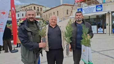 Beypazarı'nda Fidan Dağıtımı