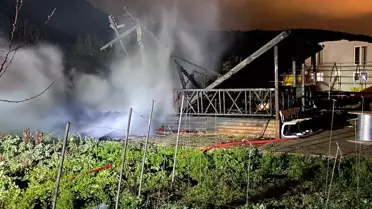 Bilecik'te Bağ Evlerinde Yangın