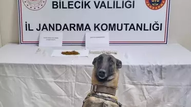 Gölpazarı'nda Uyuşturucu Operasyonu