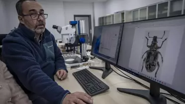 Yeni Hortumlu Böcek Türleri Keşfedildi