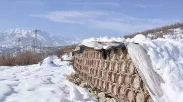 Hizan'da Arılar Kışla Mücadele Ediyor