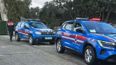 Bodrum'da 2 Köpek Tüfekle Vuruldu