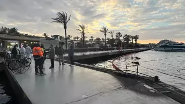 Bodrum Marina'da Yangın Temizliği Başladı