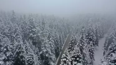 Bolu'da Kar Yağışı Devam Ediyor